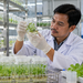 Bioteknologi Pertanian untuk Meningkatkan Produktivitas Tanaman